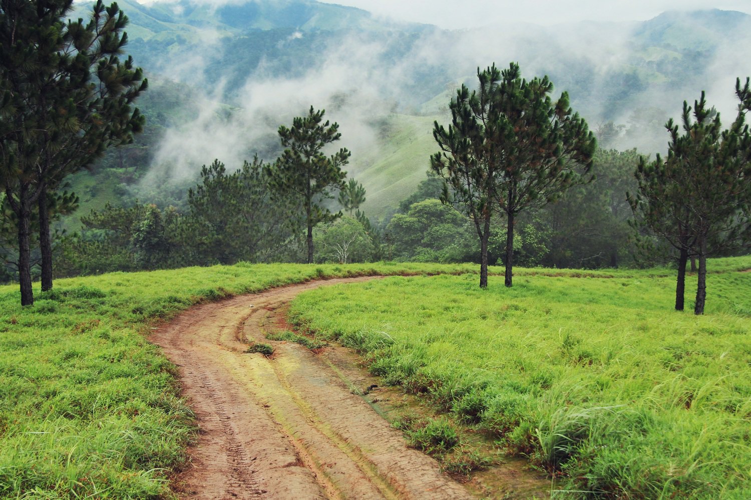 Chuyến trekking trong mơ, Tà Năng – Phan Dũng