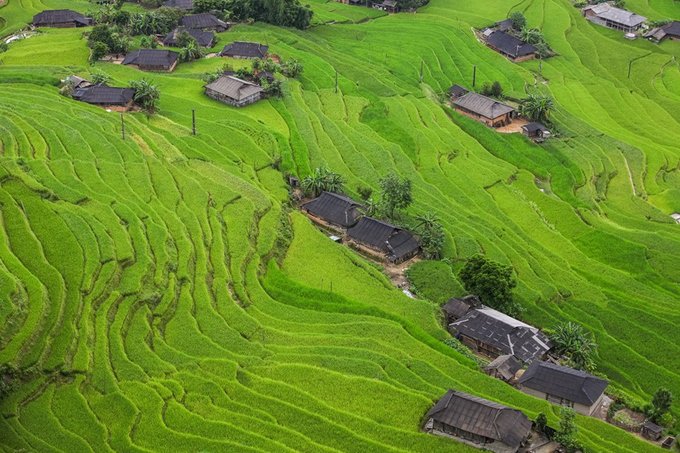 Lịch ‘săn’ lúa chín ở Sa Pa, Mù Cang Chải