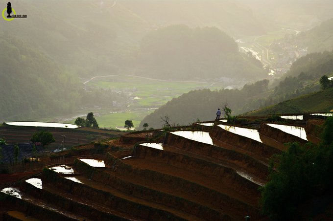 Chiều vàng trên mùa nước đổ Mang Mủ