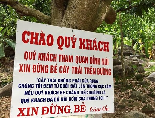 Người dân núi Bà Đen bức xúc vì du khách phá cây, hái trái