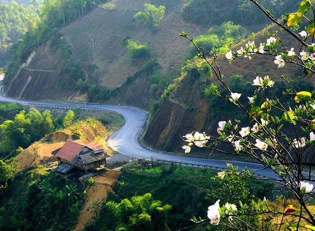 Du lịch Điện Biên – hẹn nhau mùa hoa ban